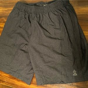 Chubbies athletic shorts